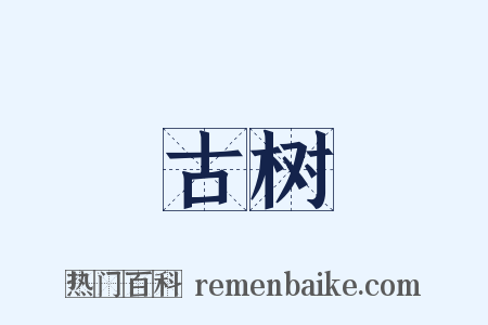 古树是什么意思的图片